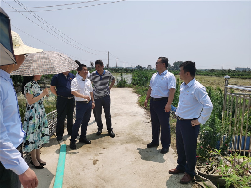 ok钱包官网-全球当先的数字钱包平台